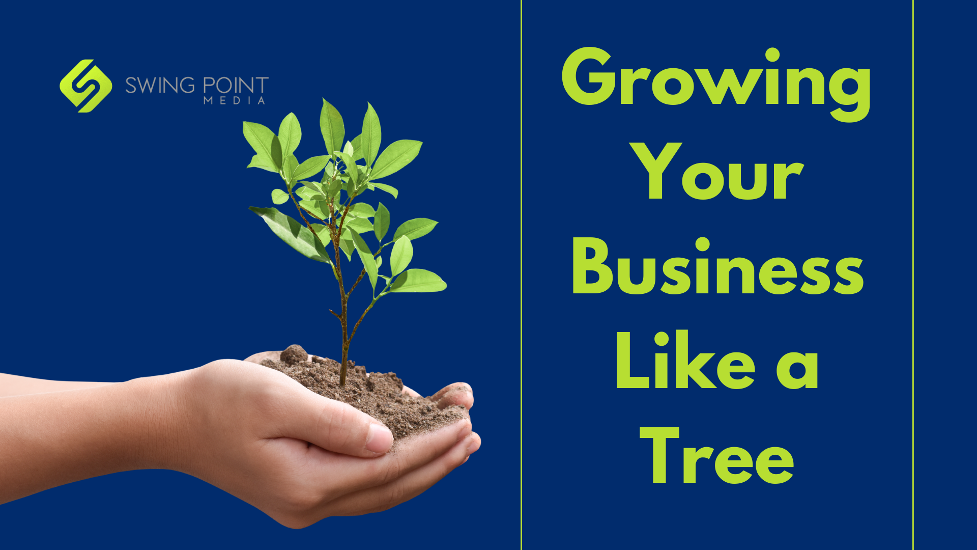 Growing Your Business Like a Tree: Content Services